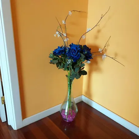 Lido Belissimo Apartamento Funchal (Madeira)