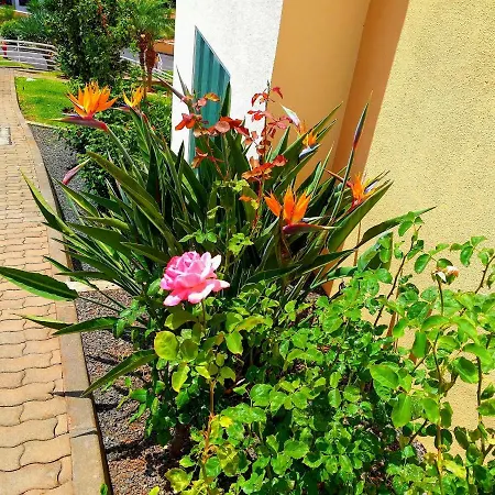 Lido Belissimo Apartamento