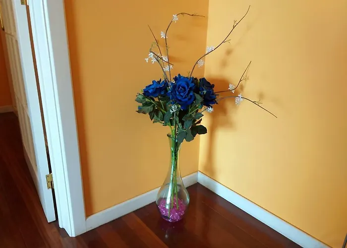 Lido Belissimo 아파트 푼샬