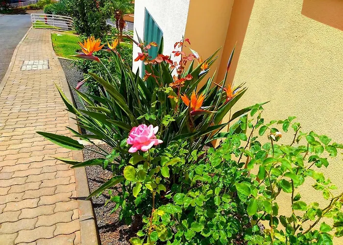 Lido Belissimo 아파트